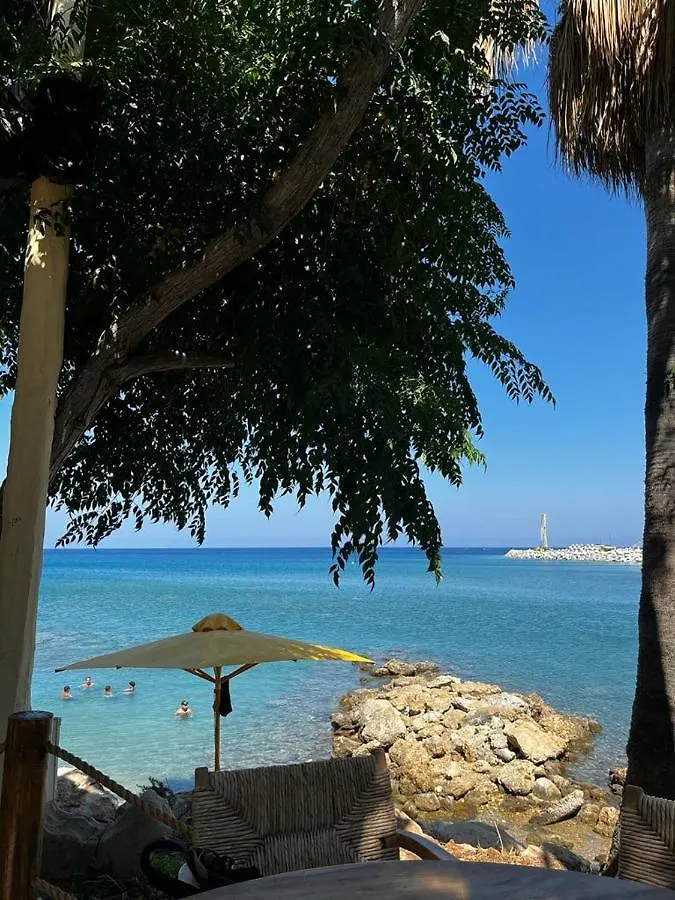 Viking Family Superior Lux Apartment Ayia Napa